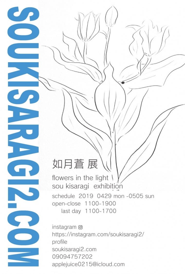 如月蒼展 flowers in the light   sou kisaragi  exhibition