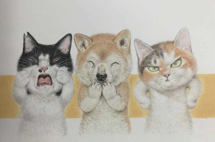 谷口富 イラスト展 ―また9 猫と犬がしゃべった博多弁―