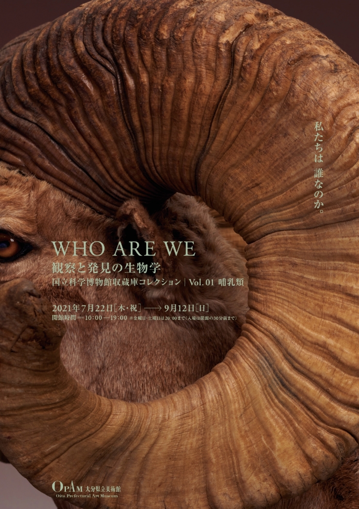 WHO ARE WE 観察と発見の生物学 国立科学博物館収蔵庫コレクション|Vol.01 哺乳類