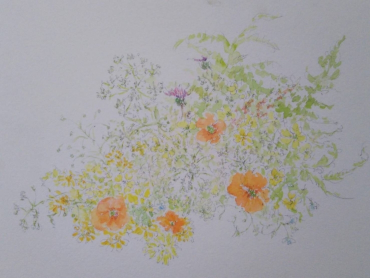 鳥井啓子と生徒作品展ー野の花 庭の花を描くー