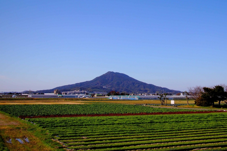 糸島 連続テレビ小説『おむすび』の舞台を巡るバスツアー