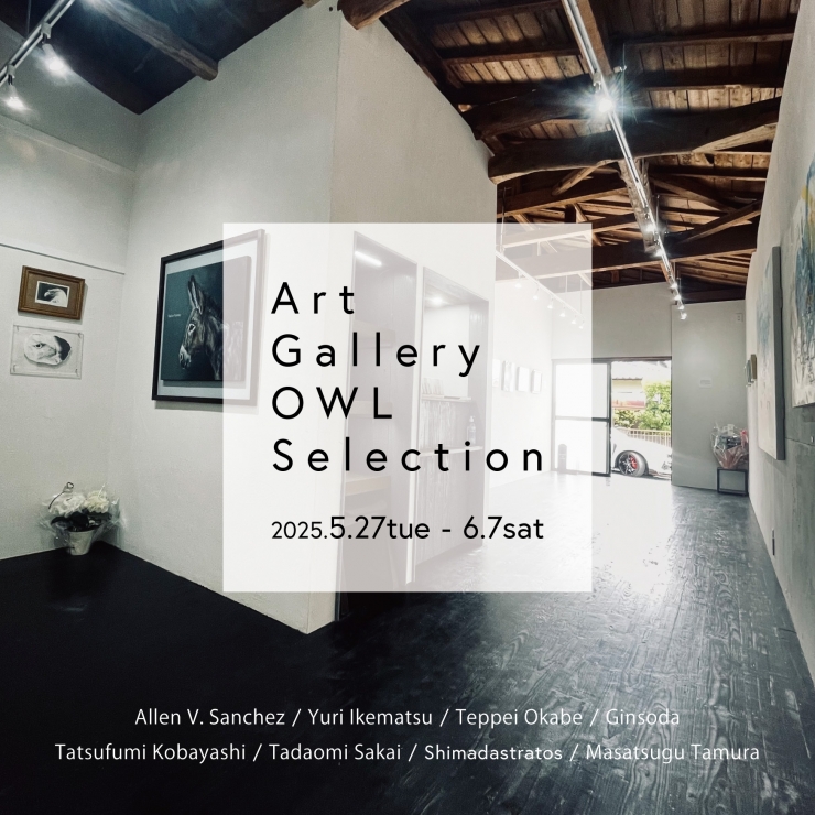 Art Gallery OWL Selection