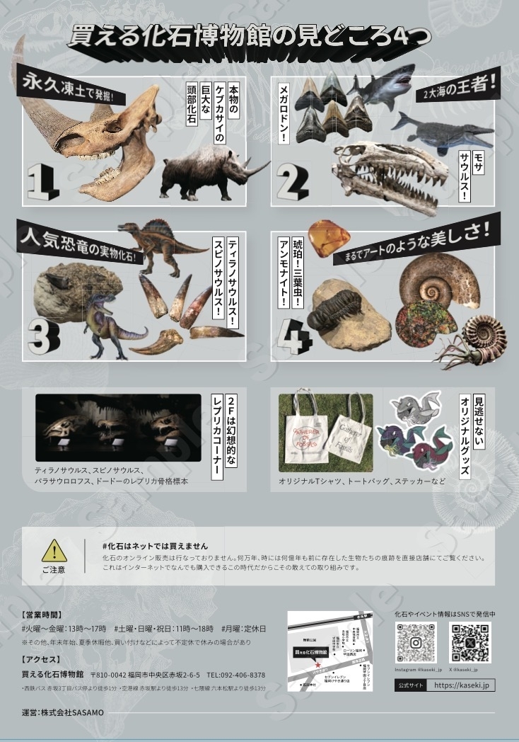 買える化石博物館