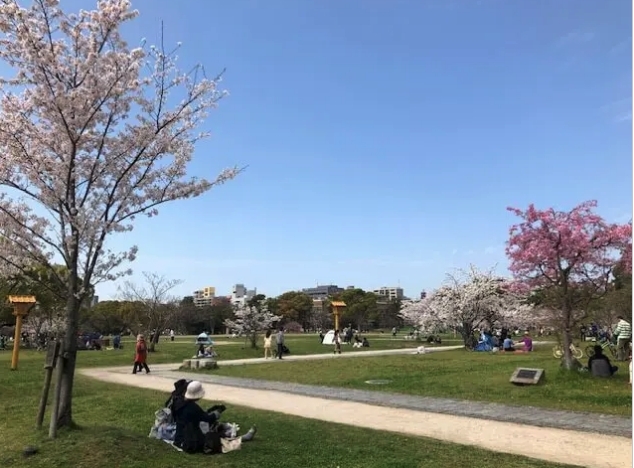 第1回ロハスパーク福岡