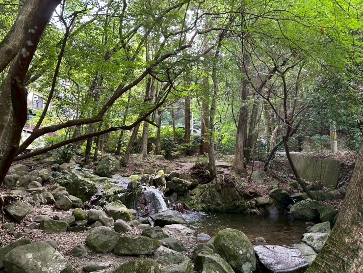 竜王峡キャンプ村開村!