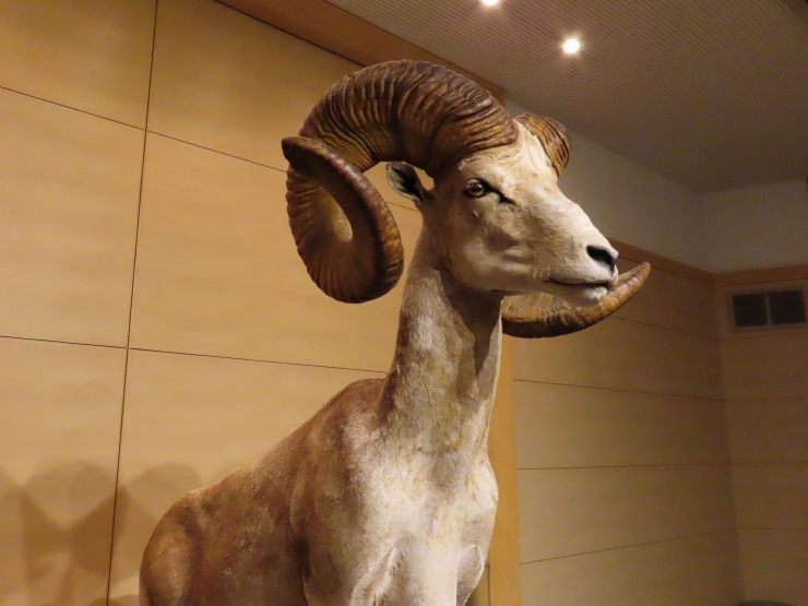 巡回展「WHO ARE WE」～観察と発見の生物学～