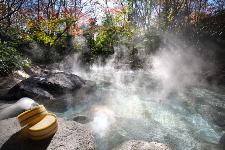 心の奥にじんわり染みる小国町の魅力ー北里柴三郎記念館、鍋ケ滝、裕花、和の花