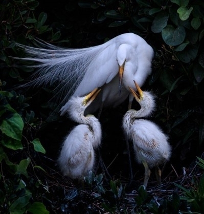 自然と四季の輝き <グループ写真展>