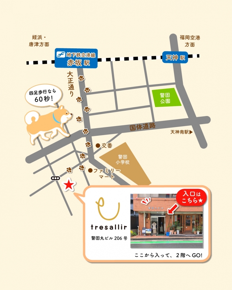 柴犬まる写真展 ー 僕は君の記録係 ー in 福岡