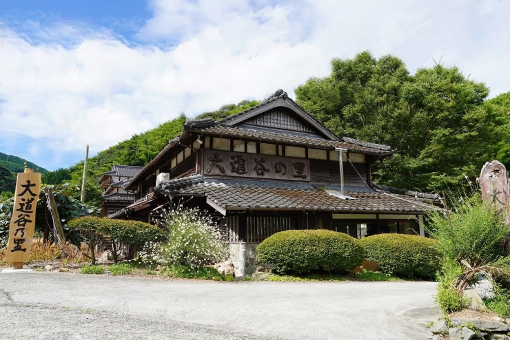 たけのこまつり