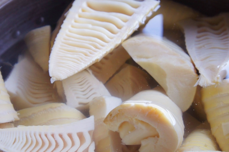 たけのこまつり