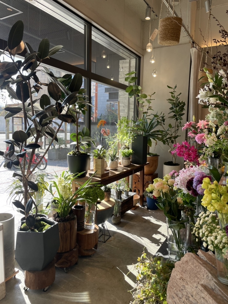 花屋で楽しむ小さな音楽会