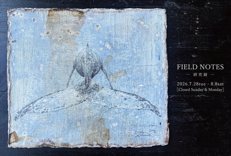 FIELD NOTES - 研究録 -